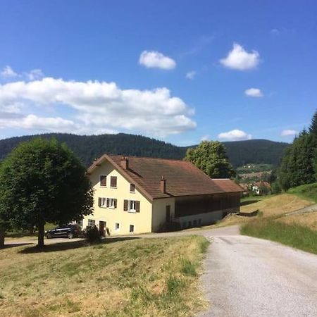 Chalet Cosy Lisiere De Foret Xonrupt-Longemer Exterior foto