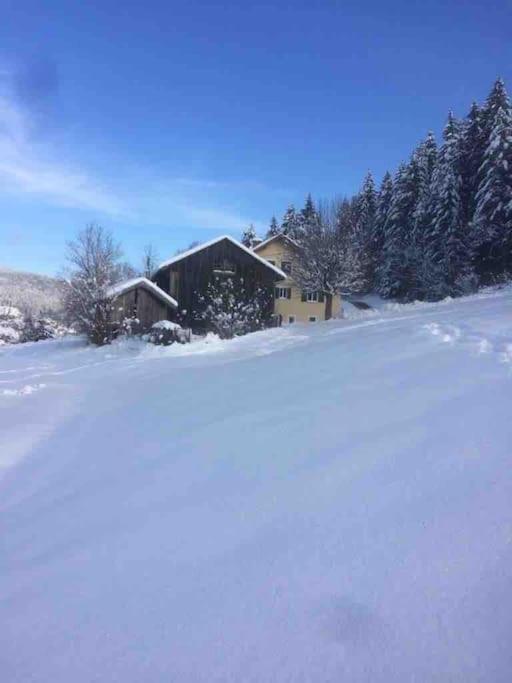 Chalet Cosy Lisiere De Foret Xonrupt-Longemer Exterior foto